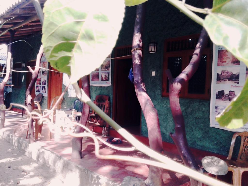 Bluesky Guest House Dambulla Exteriör bild